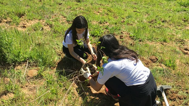 Alumnas del Liceo Domingo Ortiz de Rozas, ganadoras del proyecto de arborización de INJUV Y CONAF. 