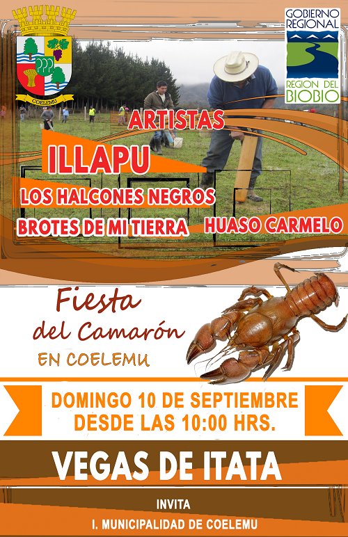 afiche fiesta del camaron.png